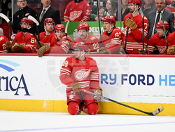 Avalanche Red Wings Hockey