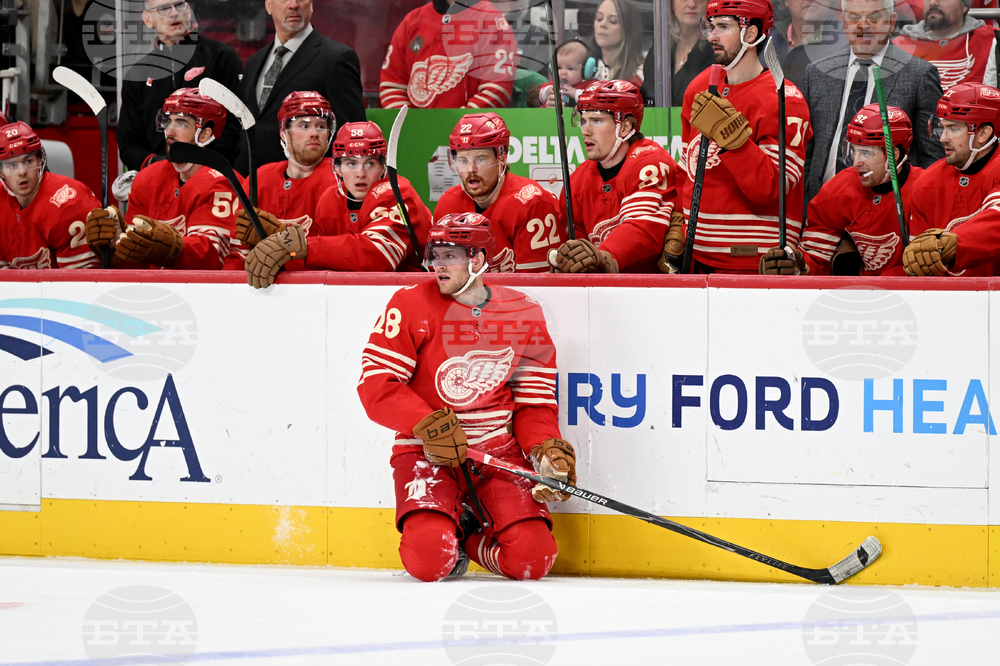 Avalanche Red Wings Hockey