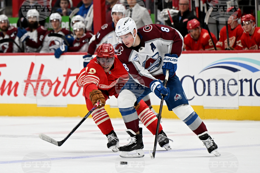 Avalanche Red Wings Hockey