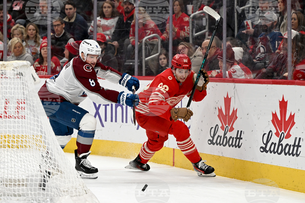 Avalanche Red Wings Hockey