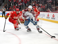 Avalanche Red Wings Hockey