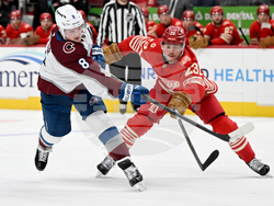 Avalanche Red Wings Hockey