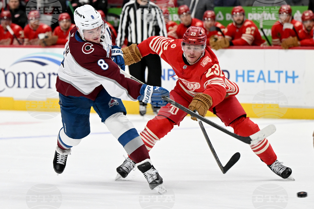 Avalanche Red Wings Hockey