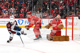 Avalanche Red Wings Hockey