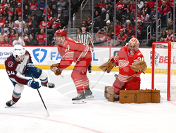 Avalanche Red Wings Hockey