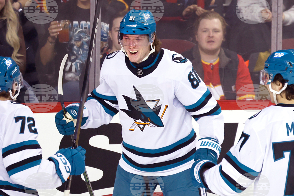 Sharks Flames Hockey