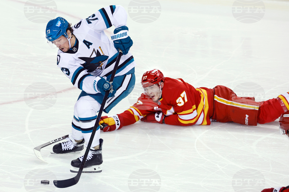Sharks Flames Hockey