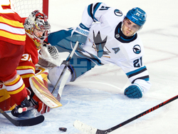 Sharks Flames Hockey