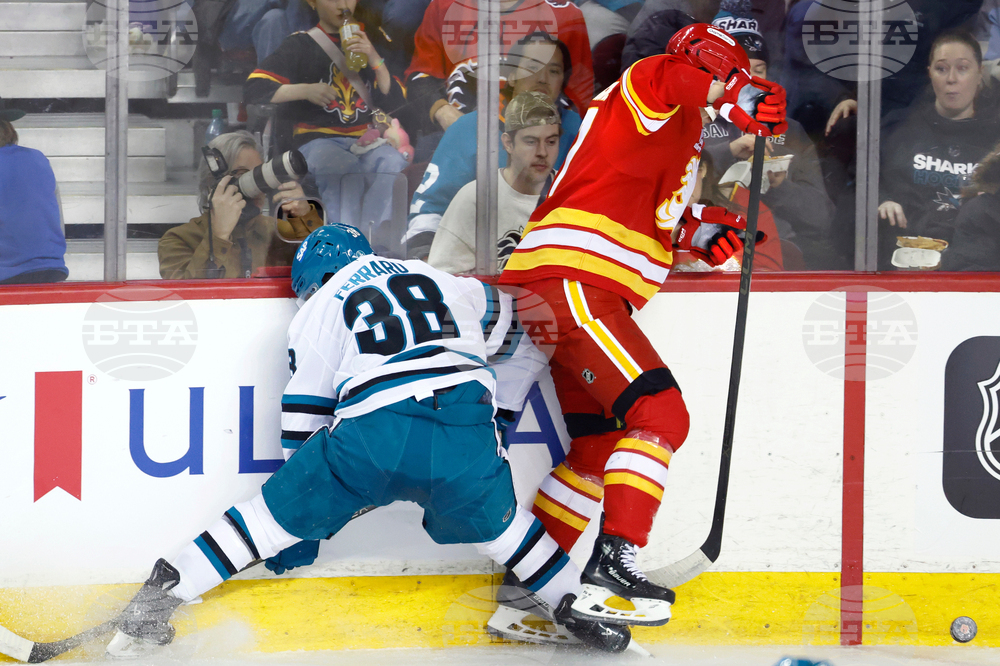 Sharks Flames Hockey