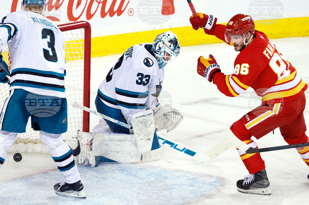 Sharks Flames Hockey