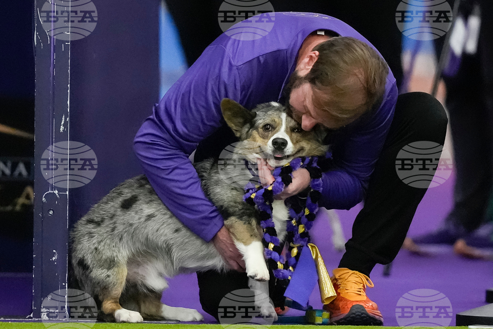 Westminster Dog Show