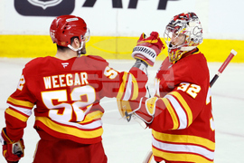 Sharks Flames Hockey