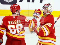 Sharks Flames Hockey