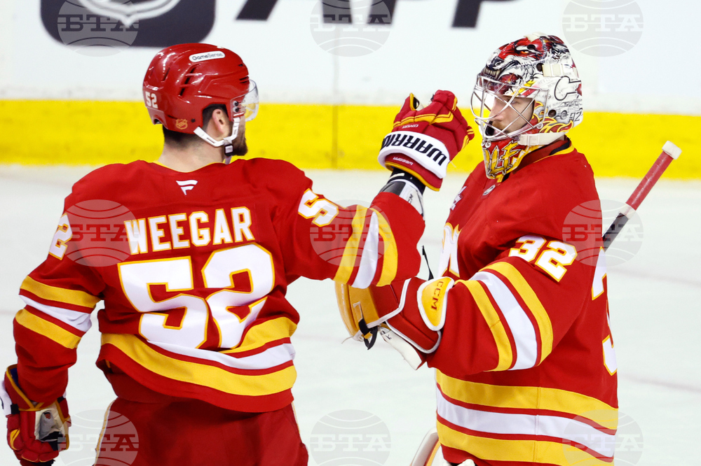 Sharks Flames Hockey