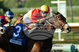 Santa Anita Horse Racing