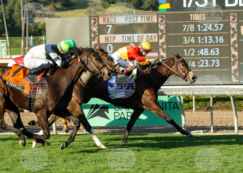 Santa Anita Horse Racing