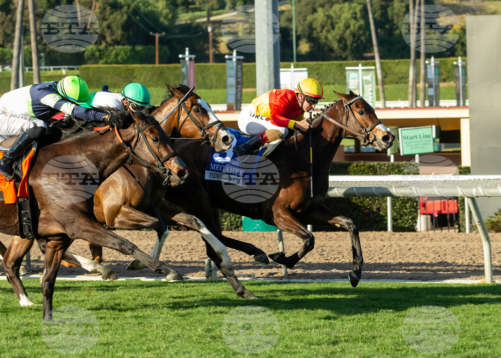 Santa Anita Horse Racing