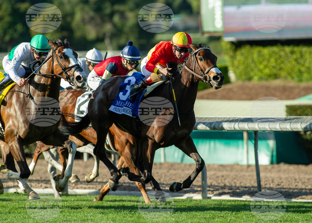 Santa Anita Horse Racing