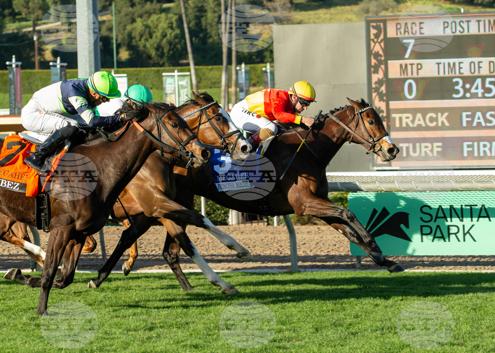 Santa Anita Horse Racing