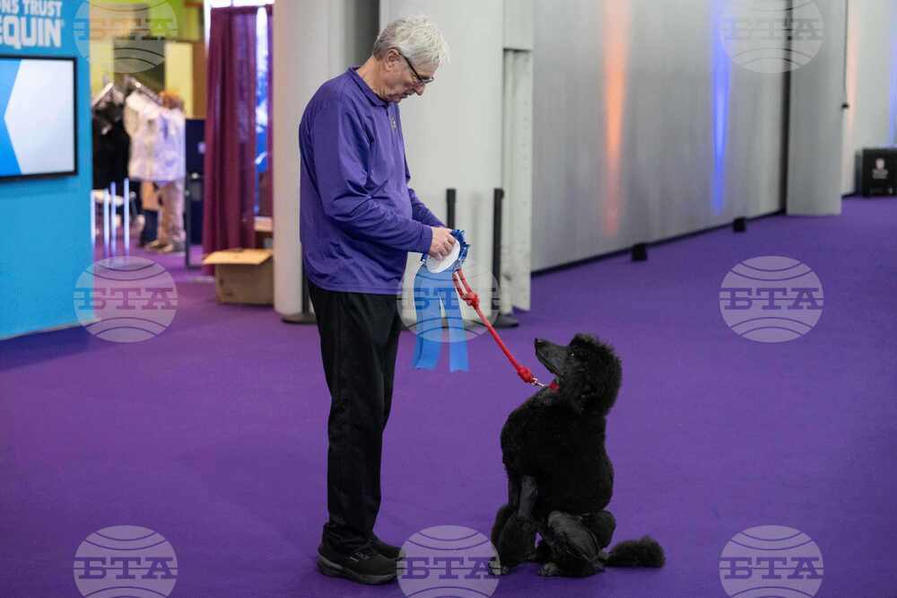 Westminster Dog Show
