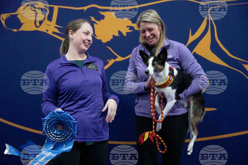 Westminster Dog Show