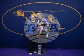 Westminster Dog Show