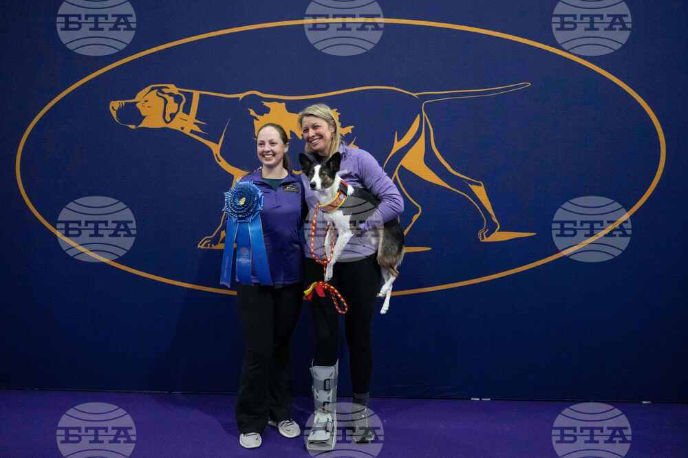 Westminster Dog Show