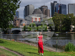 Australian Open Tennis
