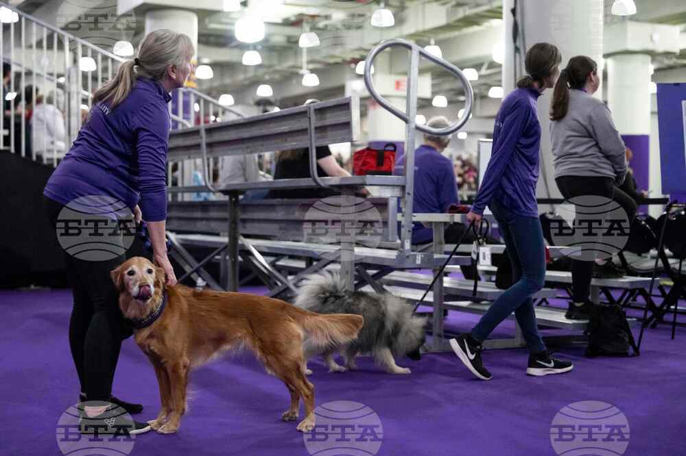 Westminster Dog Show