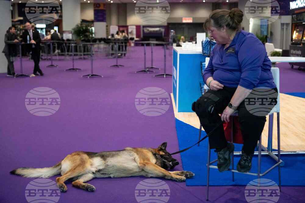 Westminster Dog Show