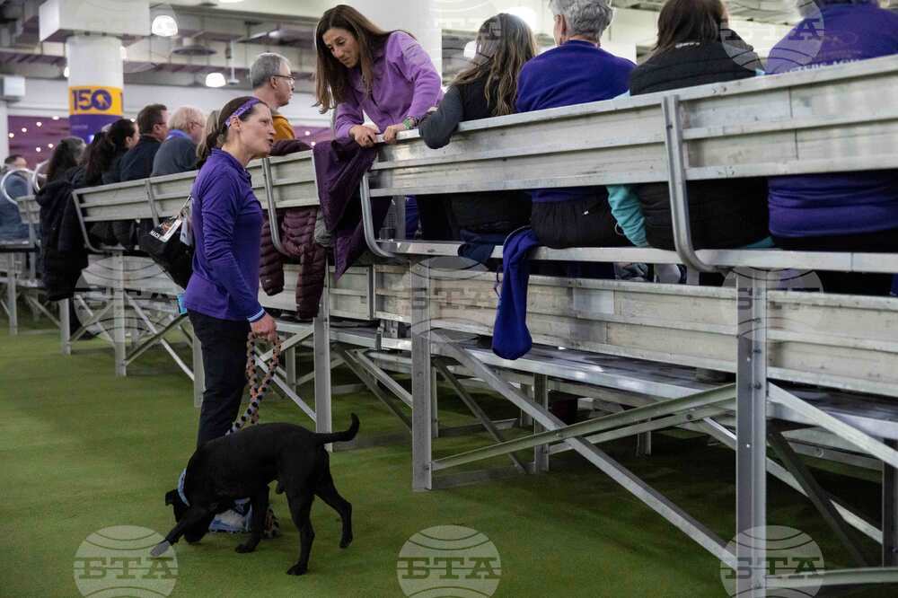 Westminster Dog Show