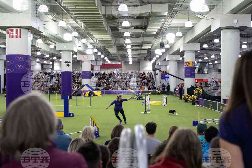Westminster Dog Show