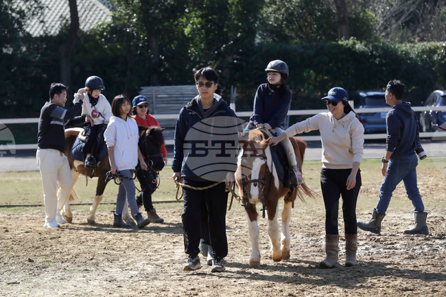Taiwan Horse Therapy
