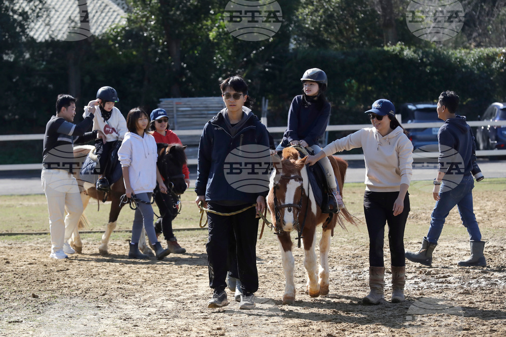 Taiwan Horse Therapy
