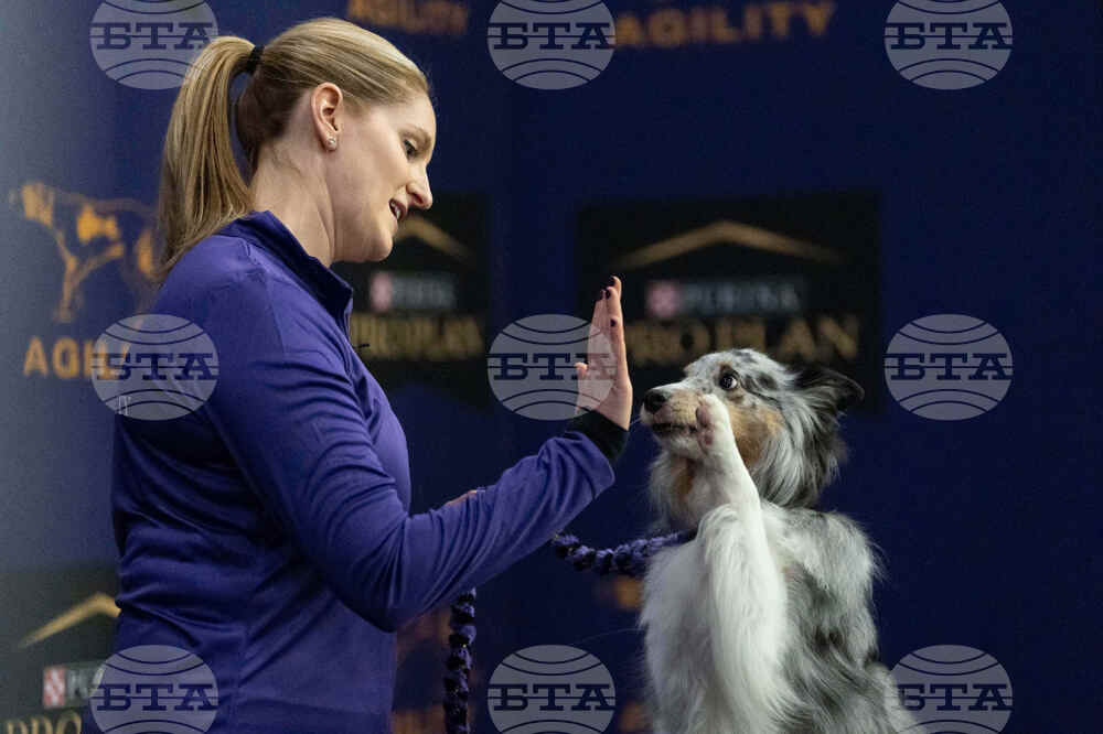 Westminster Dog Show