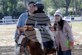 Taiwan Horse Therapy