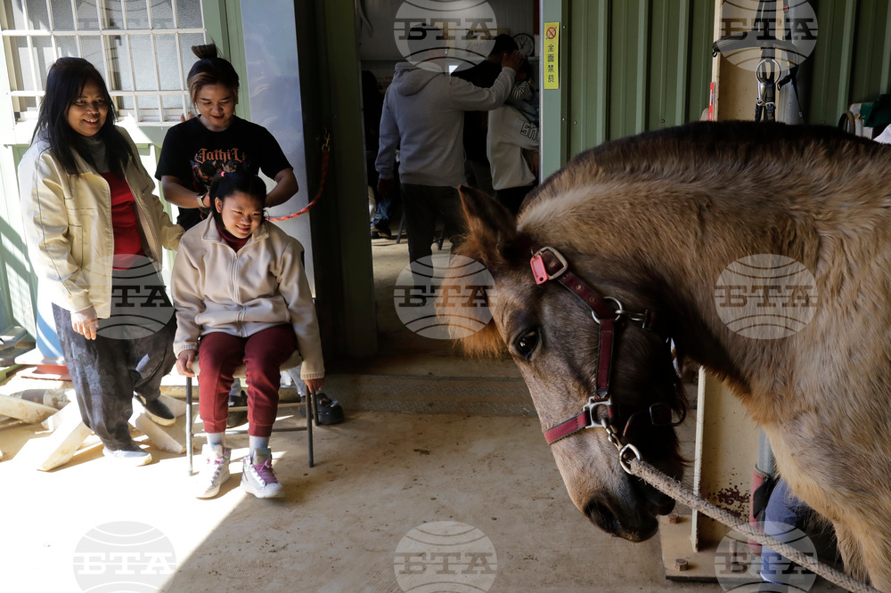 Taiwan Horse Therapy