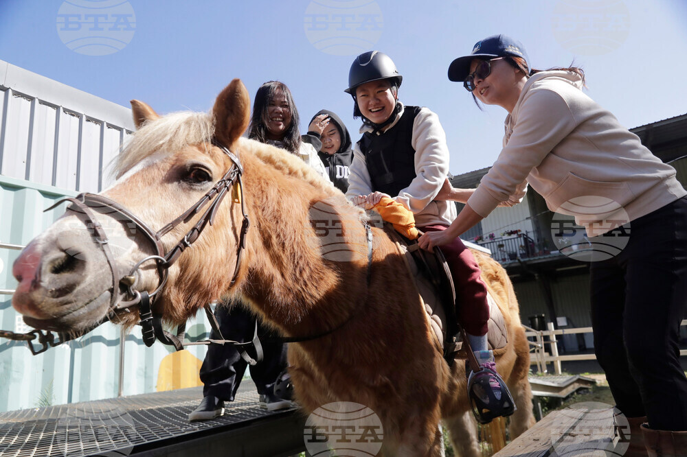 Taiwan Horse Therapy