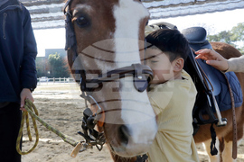 Taiwan Horse Therapy