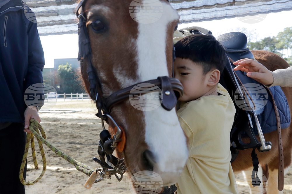 Taiwan Horse Therapy