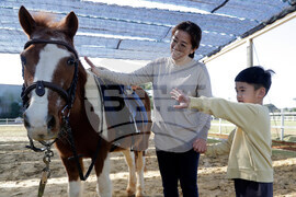 Taiwan Horse Therapy