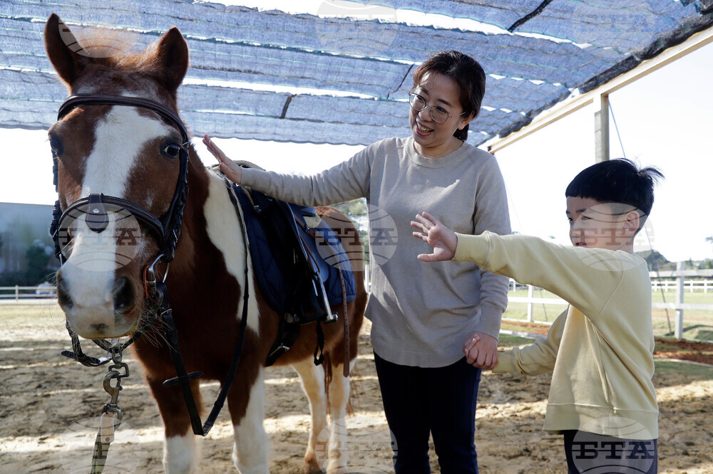 Taiwan Horse Therapy