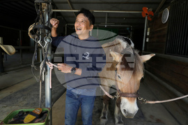 Taiwan Horse Therapy