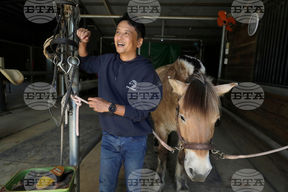 Taiwan Horse Therapy