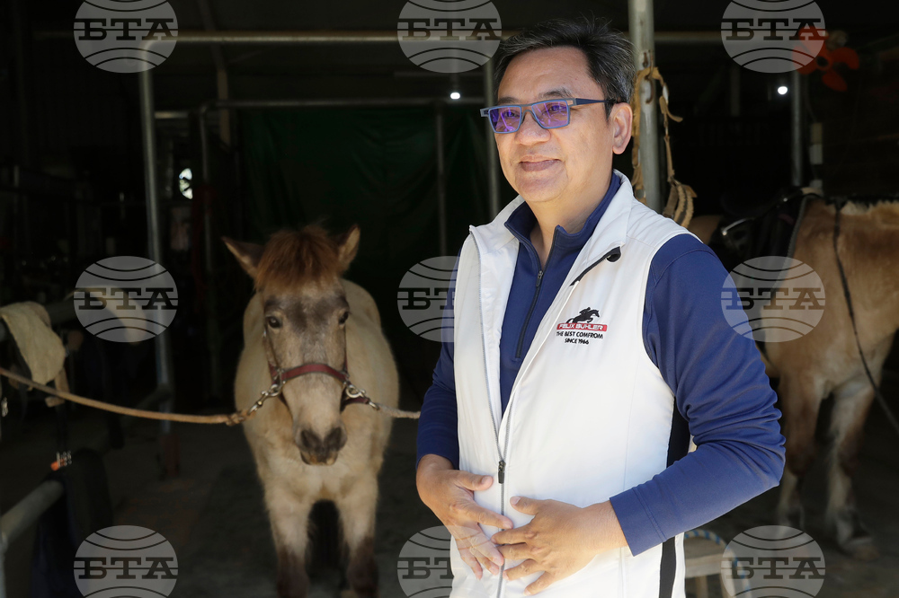 Taiwan Horse Therapy