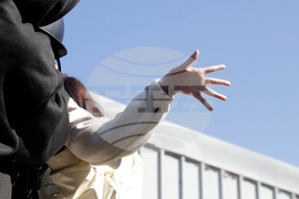 Taiwan Horse Therapy