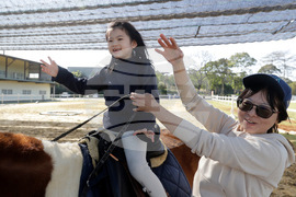 Taiwan Horse Therapy