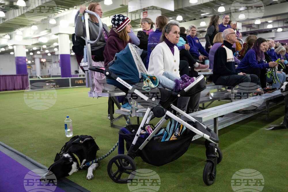 Westminster Dog Show