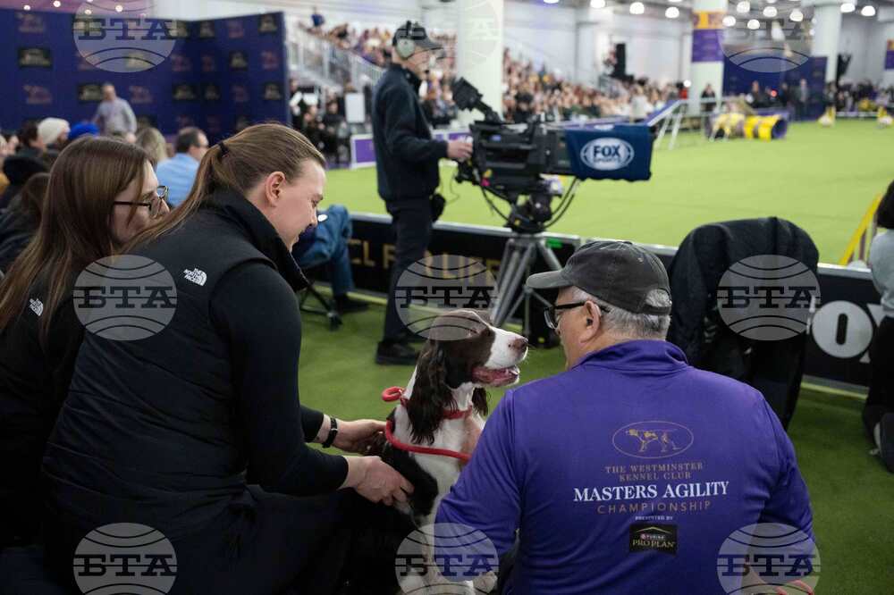 Westminster Dog Show