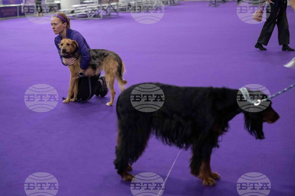 Westminster Dog Show